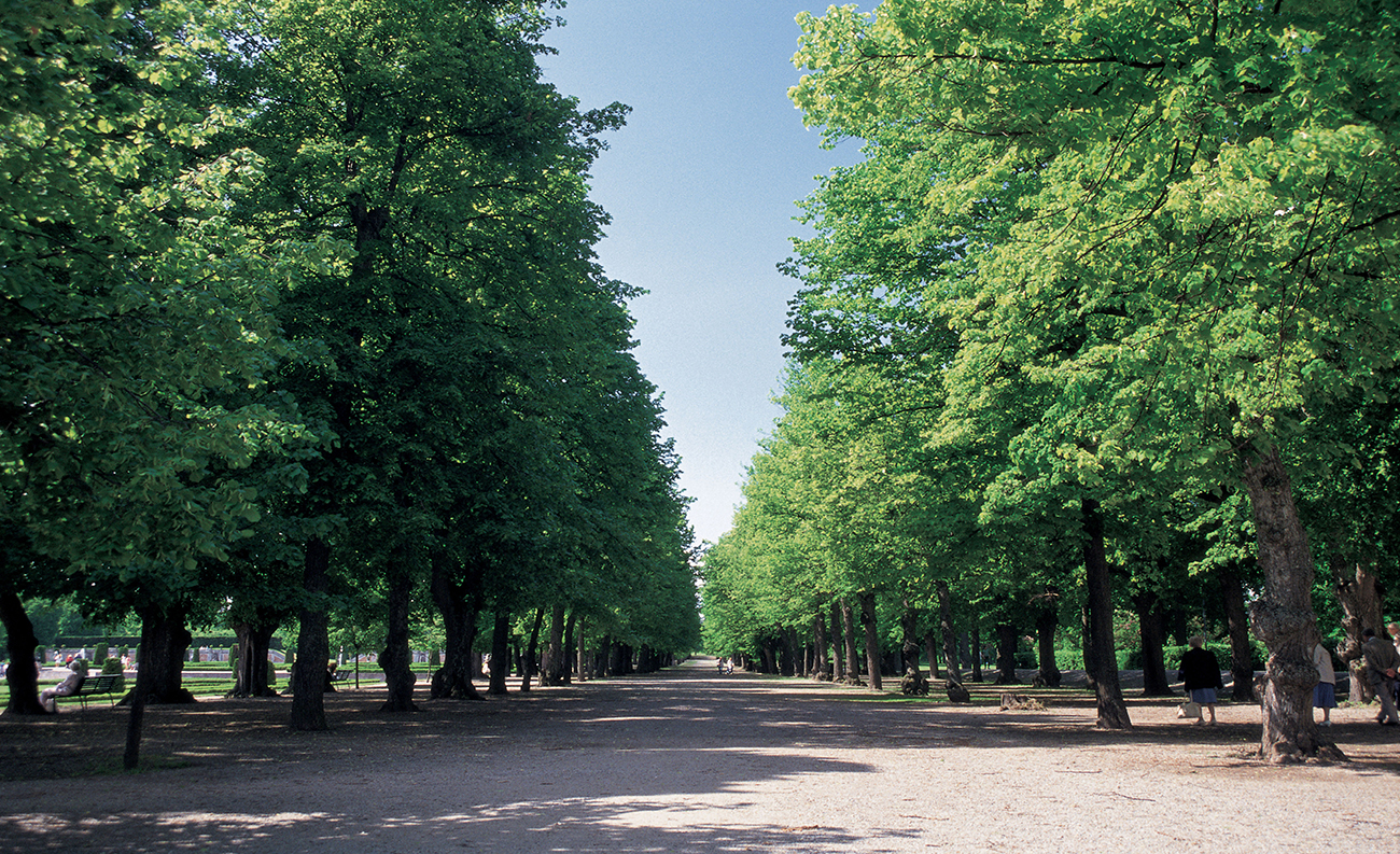 도심 속 파크라이프